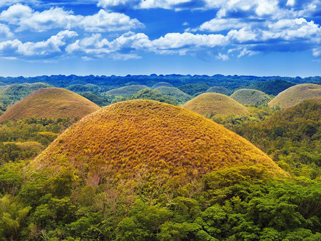 Những ngọn đồi Chocolate trên đảo Bohol ở Philippines có hình nón kỳ lạ. Vào mùa khô, cỏ chuyển sang màu nâu đặc trưng khiến chúng giống như những ngọn đồi làm bằng chocolate.

