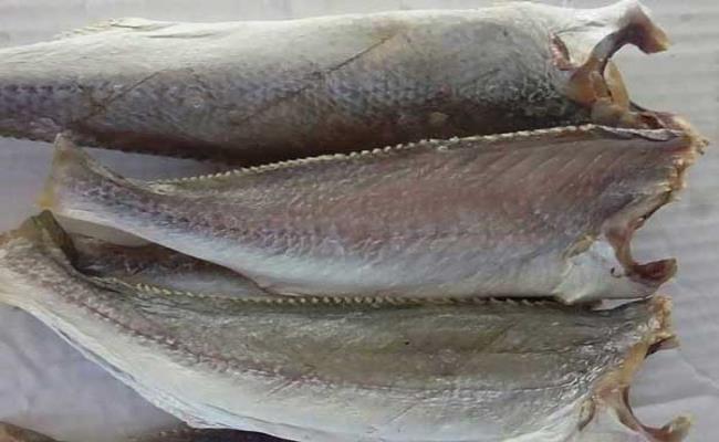 Trước đây, loại cá này khá rẻ nhưng không được ưa chuộng trên thị trường vì thịt bở hơn các loại cá khác.
