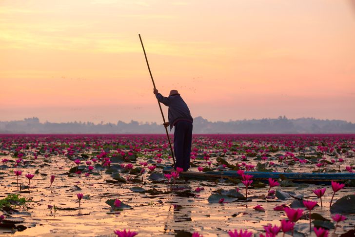 Mê đắm trước những bức ảnh nông thôn của 3 nước Thái Lan, Myanmar và Việt Nam - 13