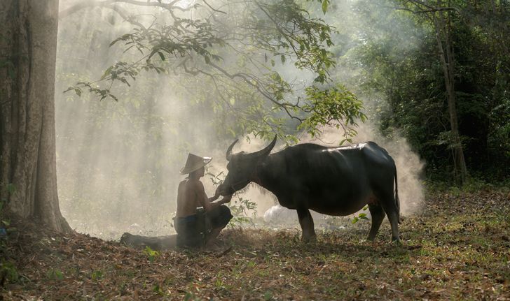 Mê đắm trước những bức ảnh nông thôn của 3 nước Thái Lan, Myanmar và Việt Nam - 5