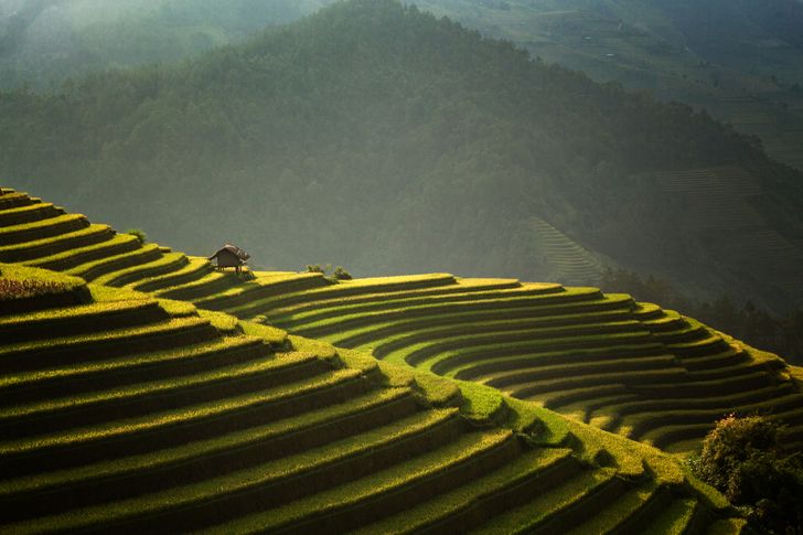 Mê đắm trước những bức ảnh nông thôn của 3 nước Thái Lan, Myanmar và Việt Nam - 7