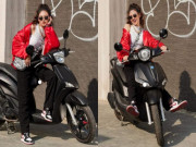 Thế giới xe - Bảng giá xe ga Piaggio Liberty tháng 9/2021, bình ổn trở lại