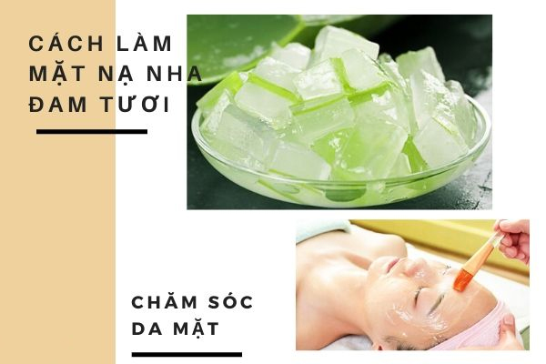 20 cách làm mặt nạ nha đam giúp trị mụn trắng da hiệu quả an toàn nhất - 2