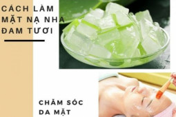 20 cách làm mặt nạ nha đam giúp trị mụn trắng da hiệu quả an toàn nhất