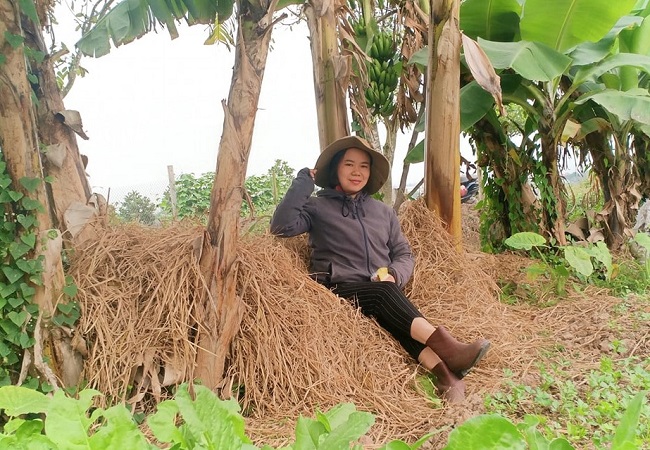 Chị Hiền bỏ công việc văn phòng lương cao để về khởi nghiệp nông nghiệp.