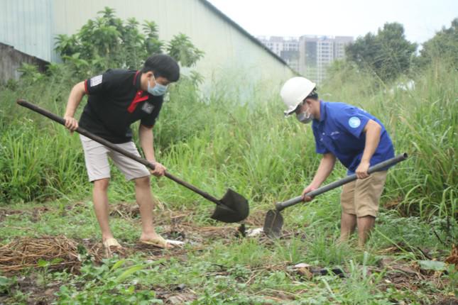 Các bạn trẻ cùng nhau phát hoang, cải tạo đất để gieo trồng.