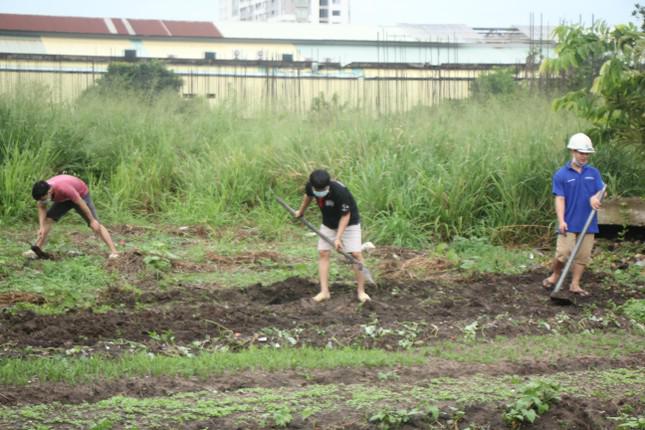 Các chàng trai chăm bón cho khu vườn mỗi ngày.