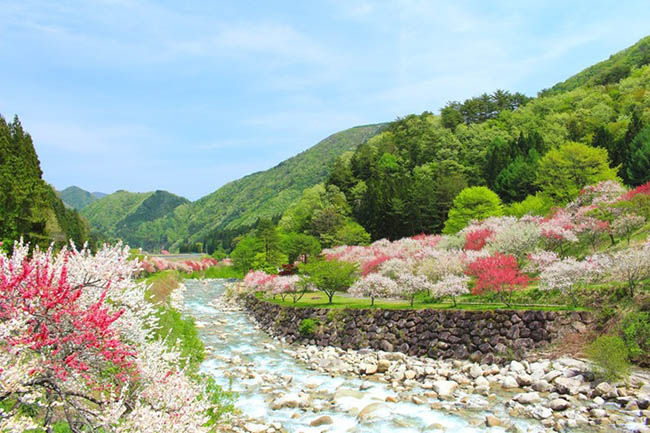 10. Hirugami Onsen

Dọc theo sông Achi có suối nước nóng Hirugami với hơn 40 nhà trọ. Trong một số tài liệu ghi lại rằng, cách đây 250 năm, người ta sử dụng suối nước nóng ở đây để chữa bệnh.
