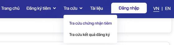 Tra cứu chứng nhận tiêm chủng trên Cổng thông tin tiêm chủng COVID-19. Ảnh: MINH HOÀNG