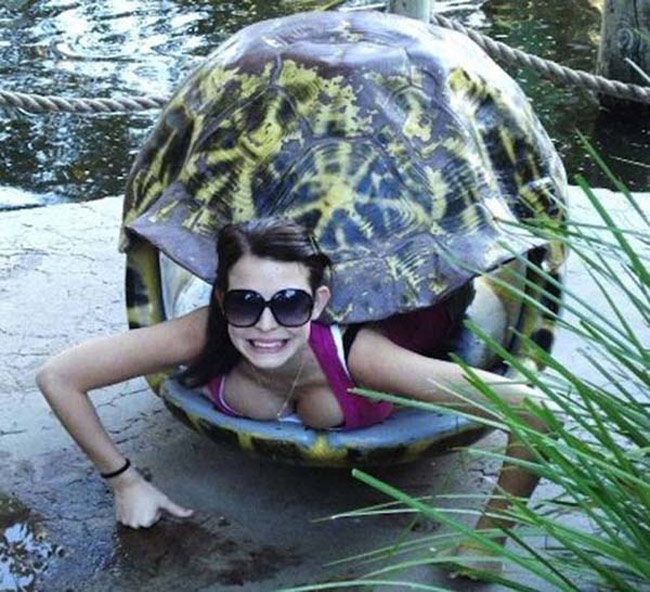 Mai rùa này nặng quá em không mang nổi nữa.
