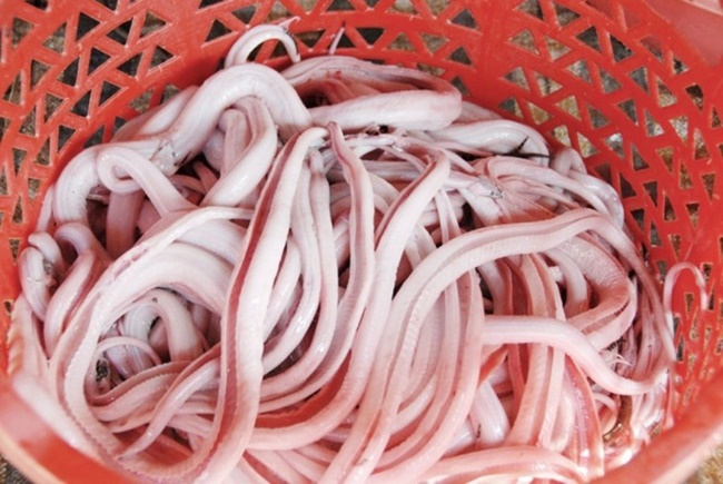 Khô rắn có thể làm nhiều món khác nhau, mỗi món lại mang hương vị đặc biệt như khô rắn nướng, gỏi khô rắn và khô rắn chiên.

