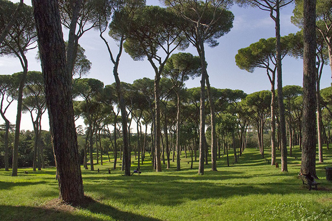 Villa Doria Pamphili - Rome, Ý: Villa Doria Pamphili là công viên lớn nhất của Rome, có kiến ​​trúc tuyệt đẹp với những khu vườn được cắt tỉa cẩn thận và tỉ mỉ, cùng các bức tượng và bồn hoa lớn như một lời nhắc nhở về lịch sử hào hùng của Rome.
