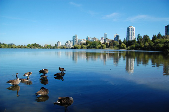 Công viên Stanley, Vancouver, Canada: Là công viên nội đô lớn nhất của Canada, công viên Stanley rộng hơn 400ha&nbsp;này được người dân địa phương và du khách yêu mến. Đây là một trung tâm hoạt động ngoài trời và thậm chí có cả rạp chiếu phim dưới ánh trăng cùng các hồ nước...
