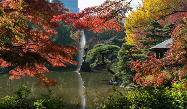 Công viên Hibiya, Tokyo, Nhật Bản: Công viên Hibiya là công viên tuyệt đẹp, một nơi thư giãn hoàn hảo trong thành phố. Ở đây không chỉ có&nbsp;thảm hoa rực rỡ&nbsp;và hoa anh đào, mà còn có nhà hát cùng dàn nhạc sống ấn tượng...
