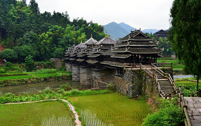 Cây cầu này không chỉ nổi tiếng là một công trình hội tụ những tinh hoa của nền văn hóa tộc Đồng, nó còn được nhiều người biết tới là nơi có phong cảnh thiên nhiên non nước tuyệt đẹp.
