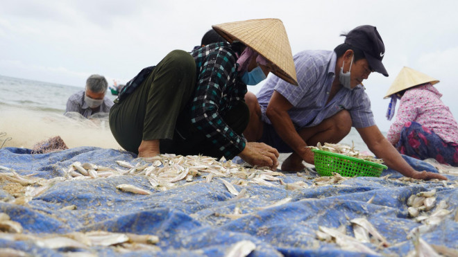 Một số thương lái đến thu mua cá về bán, hoạt động tấp nập trở lại