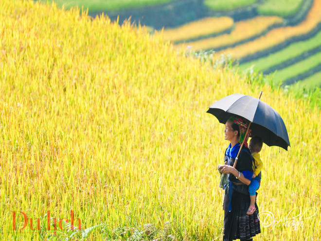 Nụ cười miền sơn cước mộc mạc đến lạ