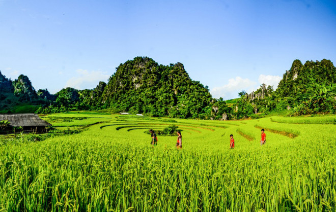 Ruộng bậc thang Háng Khúa - Sín Chải - Tủa Chùa.&nbsp;Ảnh Hoàng Hải Giang