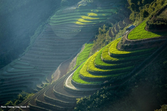 Ruộng bậc thang Sông Ún, Mường Báng, Tủa Chùa.&nbsp;Ảnh Công Thành.