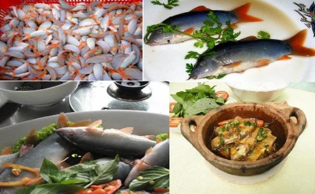 Hiện nay, thị trường tiêu thụ cá heo rất lớn, chủ yếu ở các nhà hàng tại TP. Cần Thơ, TP. Hồ Chí Minh...
