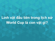 Giáo dục - du học - Siêu trí tuệ cũng phải vắt óc mới trả lời được hết 15 câu hỏi này