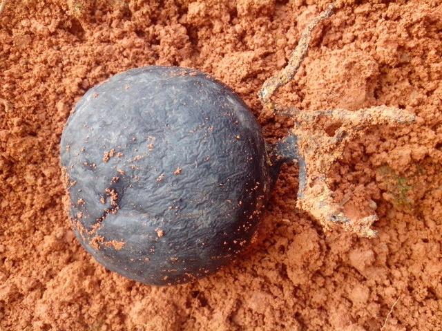 "Cục đá" đen ông Lưu đào được