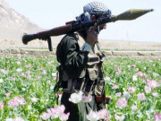 Thế giới - Taliban có dám mạnh tay với &quot;lò&quot; sản xuất 85% thuốc phiện của thế giới?