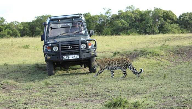 Đi lướt sóng và ngắm động vật hoang dã ở Masai Mara, Kenya: Kenya là điểm đến không thể bỏ qua&nbsp;của những người yêu động vật hoang dã với nhiều loài thú quý hiếm.&nbsp;
