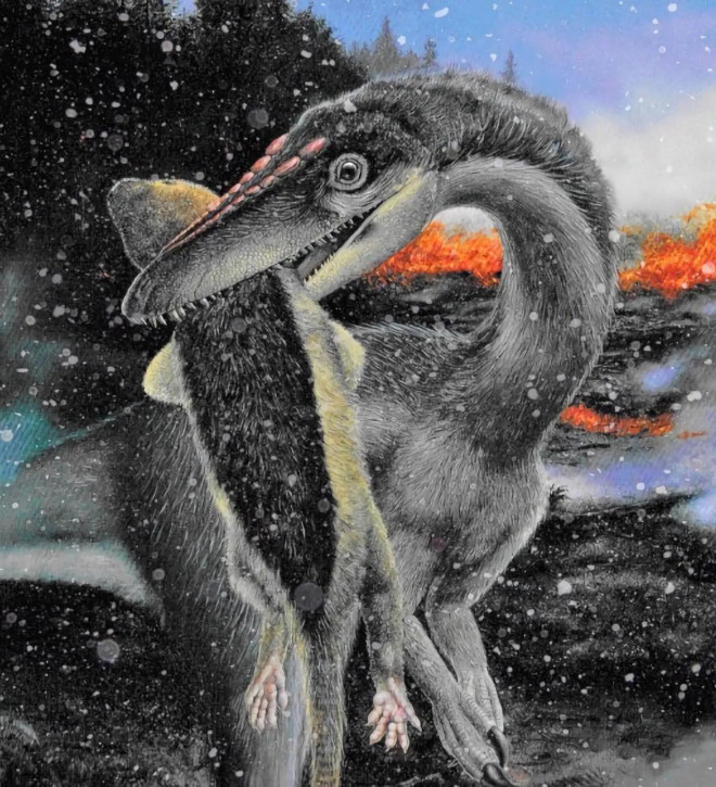 Một động vật có vú cổ đại bị khủng long bắt - Ảnh: Larry Felder/SCITECH DAILY