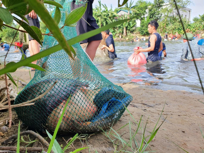 ‘Nơm thủ’ thu tiền triệu sau vài giờ săn cá ở Nghệ An - 7