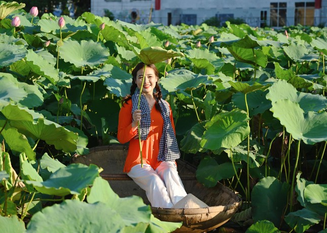 Bạn Bùi Thanh Nhàn (17 tuổi, Thái Nguyên) thích thú chia sẻ lần đầu được ngắm cảnh sen ở Thủ đô: “Em rất thích hoa sen vì vẻ đẹp thuần khiết. Em ao ước được chụp sen từ lâu mà sau dịch bây giờ mới có cơ hội. Đặc biệt đầm sen Hồ Tây còn có nhiều dịch vụ như trang điểm, cho thuê quần áo khá tiện lợi nên em đã chọn tới đây để chụp ảnh”.