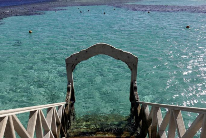 Biển Đỏ, địa danh du lịch nổi tiếng ở Ai Cập, là nơi cá mập thường được thấy nhưng hiếm khi tấn công du khách. Ảnh: Reuters