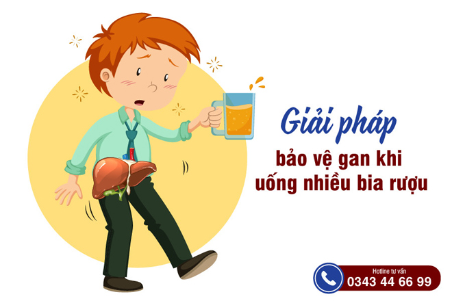 Giải pháp bảo vệ gan khi uống nhiều bia rượu - 1