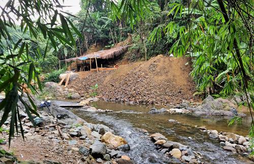 Một bưởng vàng nằm bên suối Ka Ruông. Ảnh: Hải Phong