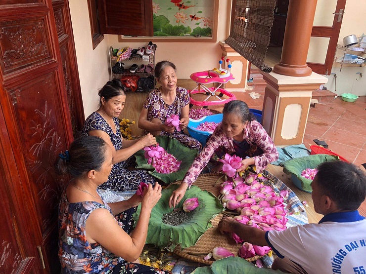 Những ngày này, các gia đình làm trà sen đang tấp nập sản xuất vì mùa sen chỉ kéo dài 1-2 tháng trong năm. (Ảnh: Phạm Thế Duyệt).