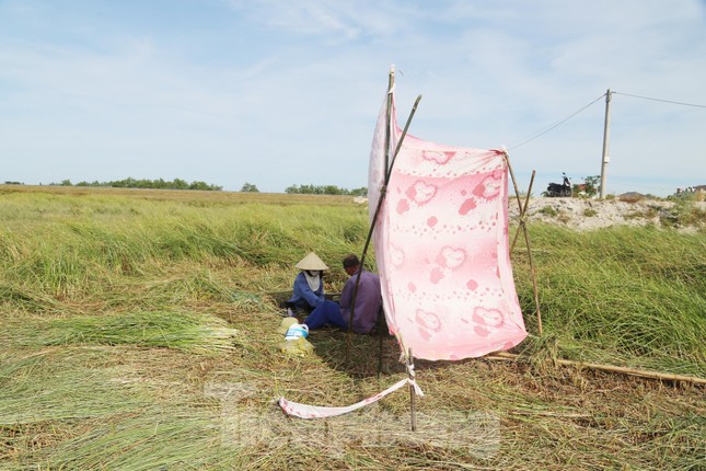 Vợ chồng ông Khoa căng tấm vải mỏng tránh nắng