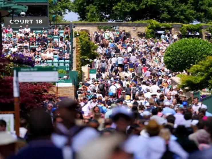 Náo loạn Wimbledon: 3 nhân viên an ninh choảng nhau bị cảnh sát bắt về đồn