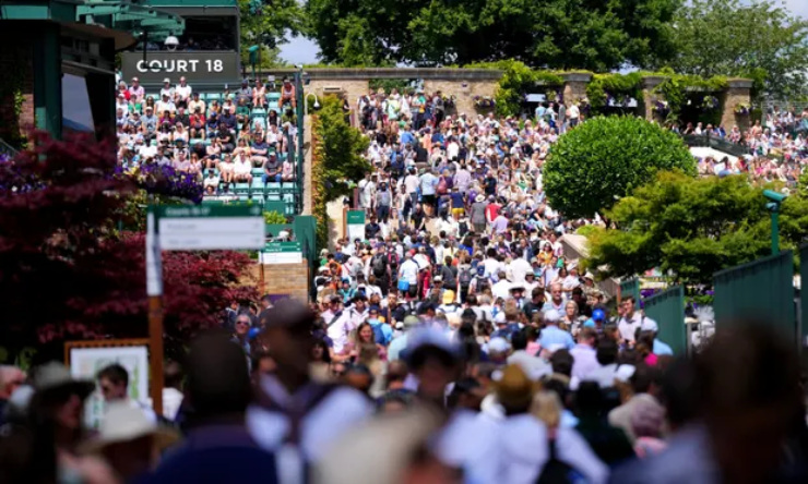 3 nhân viên an ninh Wimbledon ẩu đả náo loạn