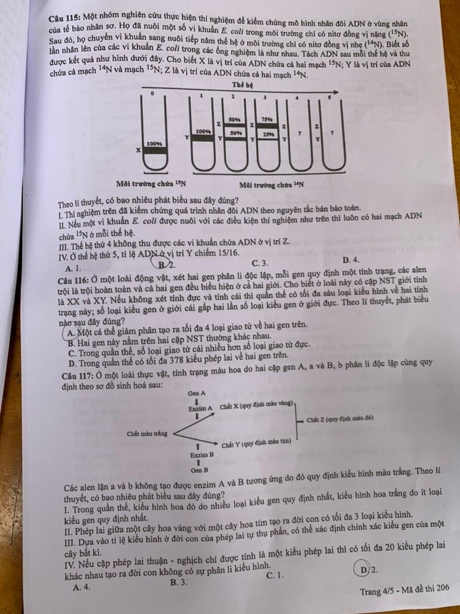 Đáp án môn Sinh học tốt nghiệp THPT 2022 - 4