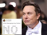 Công nghệ thông tin - HOT: “Gã hề” Elon Musk bỏ thương vụ 44 tỷ USD, Twitter sẽ được bù 1 tỷ USD?