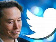 Công nghệ thông tin - Elon Musk đối mặt nguy cơ bị Twitter kiện vì hủy thương vụ 44 tỉ USD