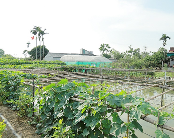 Tượng Sơn là xã bãi ngang của huyện Thạch Hà, Hà Tĩnh&nbsp;với điểm xuất phát thấp, khi bước vào xây dựng NTM thu nhập bình quân đầu người là 7,57 triệu đồng/năm. Điều đó có nghĩa đến nay thu nhập bình quân đầu người đã tăng gấp gần 8 lần.
