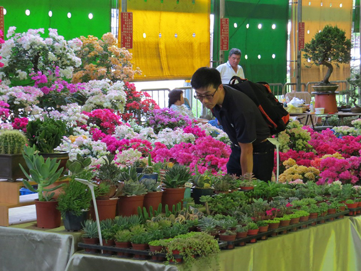 Nếu đến Đài Bắc vào chủ nhật, bạn nên ghé thăm chợ hoa và chợ ngọc&nbsp;trên đường Kiến Quốc, những ngày khác sẽ không mở cửa. Khu chợ&nbsp;bày bán các loại hoa, cây cảnh, đồ trang trí, dụng cụ làm vườn… và cả hoa giả. Người mua kẻ bán tấp nập, nhiều loài hoa lạ và rất đẹp.&nbsp;