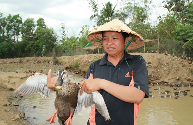 Anh Tuấn được nhiều người gọi là &#34;ông vua&#34; vịt trời ở Đồng Nai có trang trại cung cấp cho thị trường khoảng 4.000 vịt con và 2.000 vịt thương phẩm
