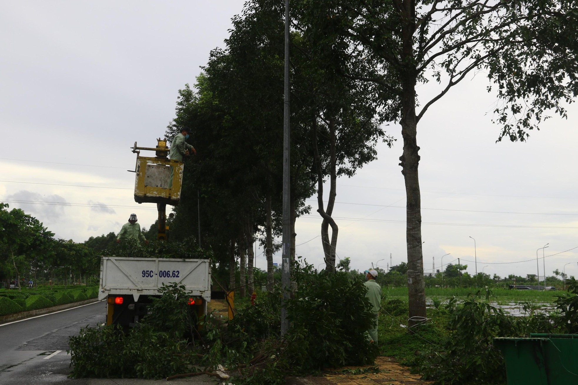 Theo ngành Nông nghiệp Hậu Giang, hiện nông dân trên địa bàn tỉnh đã thu hoạch được hơn 20.000/76.400ha lúa Hè Thu. Trong số diện tích chưa thu hoạch thì hiện có khoảng 40.000ha ở giai đoạn trổ - chín, đây sẽ là áp lực không nhỏ cho bà con, nhất là những hộ đang chờ cắt lúa nhưng gặp khó khăn về điều kiện mưa dầm. Đến nay, trên địa bàn tỉnh đã xuống giống được hơn 10.000ha lúa Thu Đông, trong đó lúa ở giai đoạn mới gieo sạ đến mạ là hơn 4.000ha. Do đó, để hạn chế thiệt hại, ngành nông nghiệp tỉnh khuyến cáo bà con tích cực bơm rút nước.