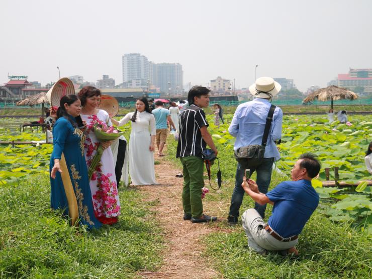 “Biển người” chụp ảnh ở đầm sen Hồ Tây, chủ đầm ”ngồi mát đếm tiền”