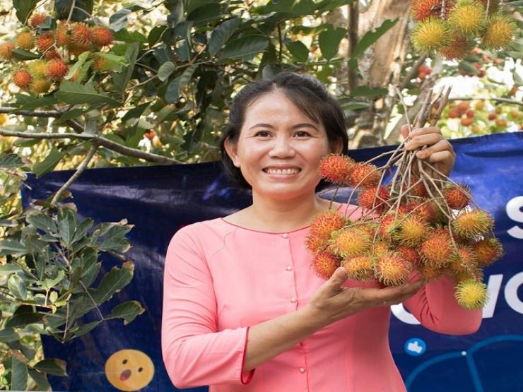 Khởi nghiệp từ vườn trái cây ế, cô gái Bến Tre thu về cả trăm triệu đồng mỗi vụ