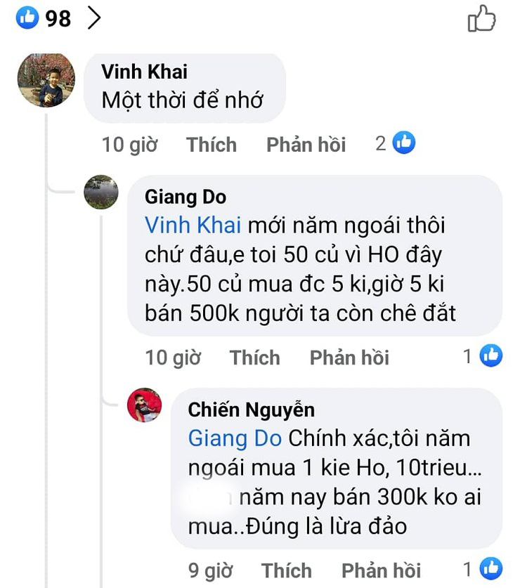 Nhiều nhà vườn từng giàu lên nhờ bán lan đột biến