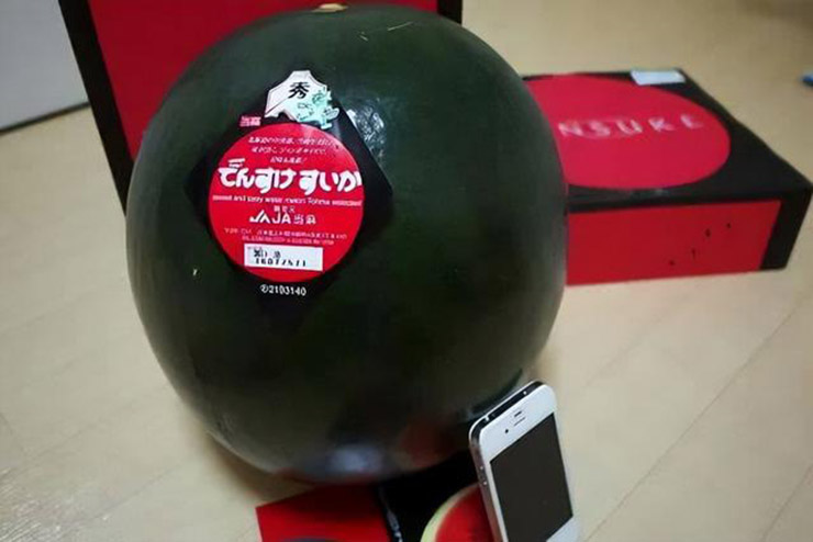 Kỳ lạ loại dưa hấu đen người TQ chê, ở Nhật lại trở thành mặt hàng xa xỉ - 6