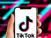 Công nghệ thông tin - Vì sao giám đốc bảo mật TikTok bất ngờ từ chức?